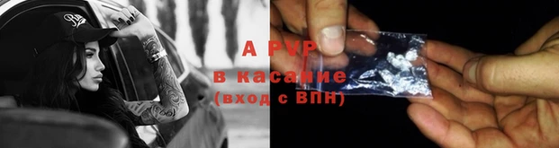 дмт Нея
