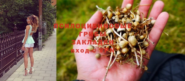 крисы Нефтекумск
