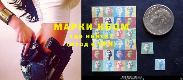 дмт Нея