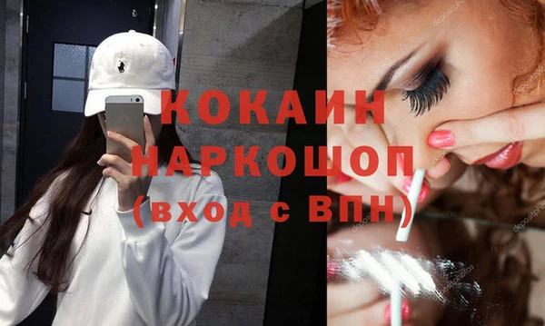 сатива Наволоки
