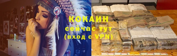 дмт Нея