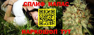 кокс Гай