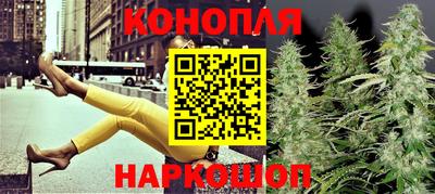 индика Абакан
