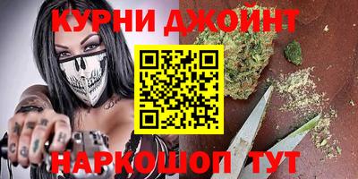 гидра Краснознаменск