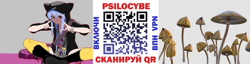 Псилоцибиновые грибы прущие грибы  где купить   OMG вход  Кушва 
