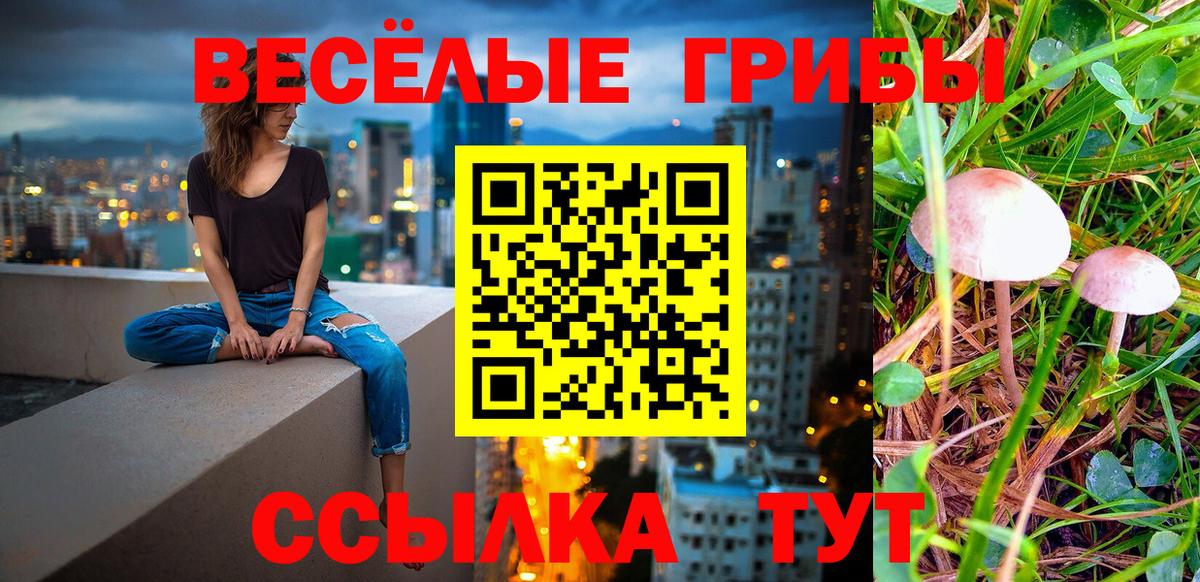 Галлюциногенные грибы Cubensis  закладка  Кушва  Вход с VPN  Псилоцибиновые грибы ЛСД 