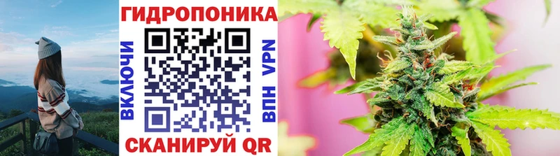 hydra как войти  Кушва  Каннабис семена 